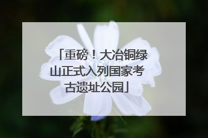 重磅！大冶铜绿山正式入列国家考古遗址公园