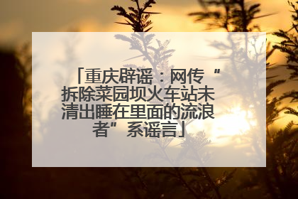 重庆辟谣：网传“拆除菜园坝火车站未清出睡在里面的流浪者”系谣言