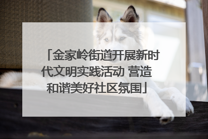 金家岭街道开展新时代文明实践活动 营造和谐美好社区氛围
