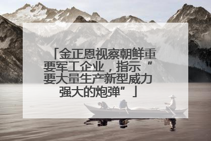 金正恩视察朝鲜重要军工企业，指示“要大量生产新型威力强大的炮弹”