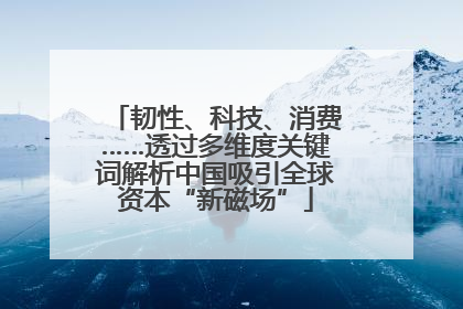 韧性、科技、消费……透过多维度关键词解析中国吸引全球资本“新磁场”