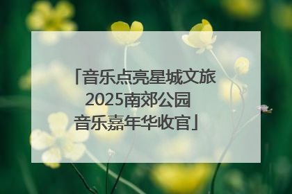 音乐点亮星城文旅 2025南郊公园音乐嘉年华收官