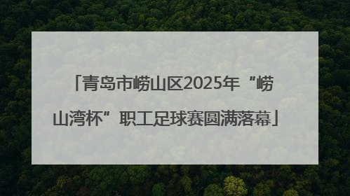 青岛市崂山区2025年“崂山湾杯”职工足球赛圆满落幕