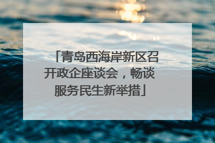 青岛西海岸新区召开政企座谈会，畅谈服务民生新举措