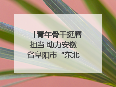 青年骨干挺膺担当 助力安徽省阜阳市“东北大外环”建设