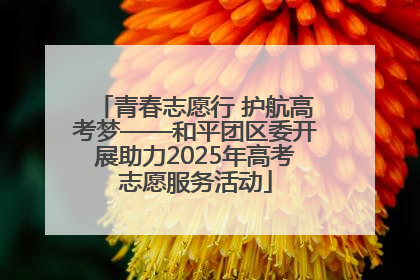 青春志愿行 护航高考梦——和平团区委开展助力2025年高考志愿服务活动