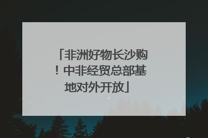 非洲好物长沙购！中非经贸总部基地对外开放