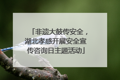非遗大鼓传安全，湖北孝感开展安全宣传咨询日主题活动