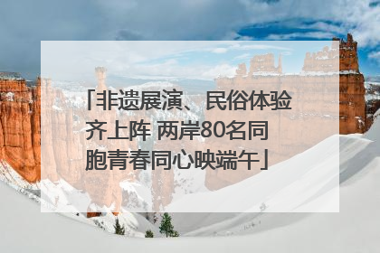 非遗展演、民俗体验齐上阵 两岸80名同胞青春同心映端午
