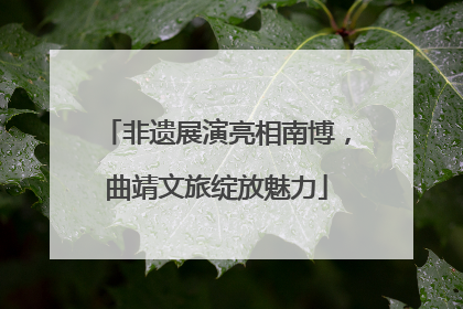 非遗展演亮相南博，曲靖文旅绽放魅力