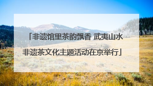 非遗馆里茶韵飘香 武夷山水非遗茶文化主题活动在京举行