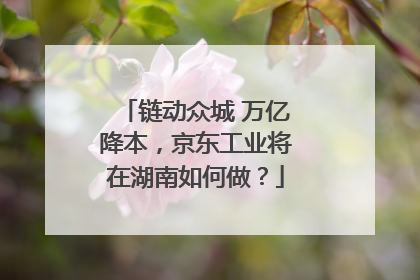 链动众城 万亿降本，京东工业将在湖南如何做？