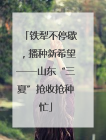 铁犁不停歇，播种新希望——山东“三夏”抢收抢种忙