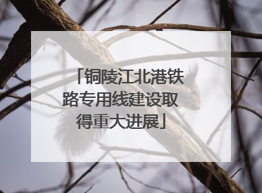 铜陵江北港铁路专用线建设取得重大进展
