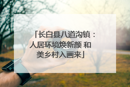 长白县八道沟镇：人居环境焕新颜 和美乡村入画来