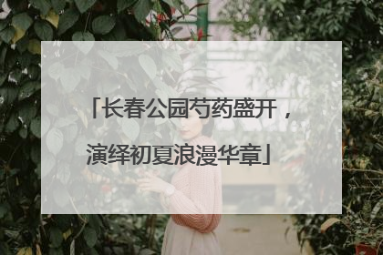 长春公园芍药盛开，演绎初夏浪漫华章