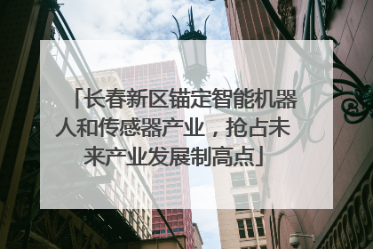 长春新区锚定智能机器人和传感器产业，抢占未来产业发展制高点