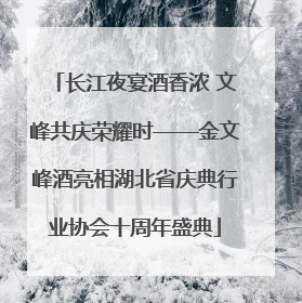 长江夜宴酒香浓 文峰共庆荣耀时——金文峰酒亮相湖北省庆典行业协会十周年盛典