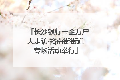 长沙银行千企万户大走访·裕南街街道专场活动举行