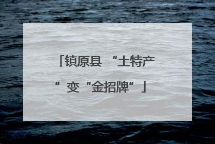 镇原县 “土特产”变“金招牌”