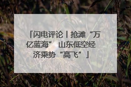 闪电评论丨抢滩“万亿蓝海” 山东低空经济乘势“高飞”
