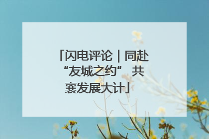 闪电评论｜同赴“友城之约” 共襄发展大计