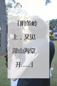 阴条岭上，又见漫山海棠开……