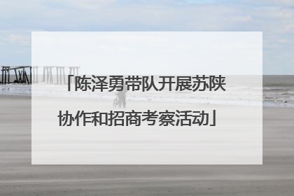陈泽勇带队开展苏陕协作和招商考察活动