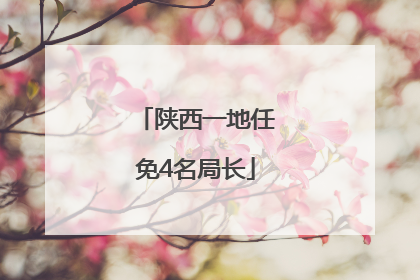陕西一地任免4名局长