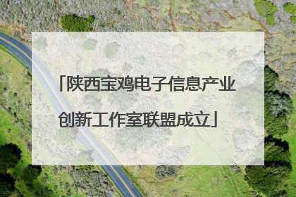 陕西宝鸡电子信息产业创新工作室联盟成立