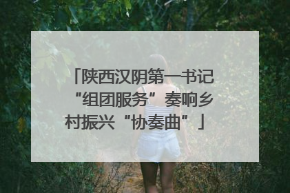 陕西汉阴第一书记“组团服务”奏响乡村振兴“协奏曲”