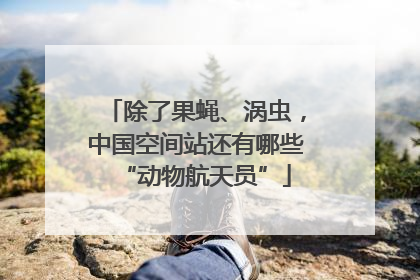 除了果蝇、涡虫，中国空间站还有哪些“动物航天员”