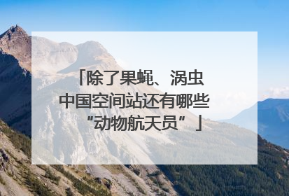 除了果蝇、涡虫 中国空间站还有哪些“动物航天员”