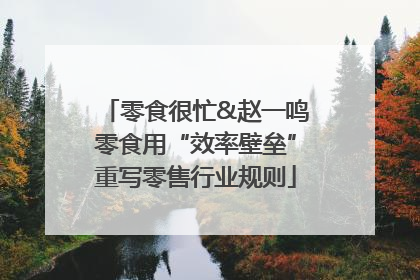零食很忙&赵一鸣零食用“效率壁垒”重写零售行业规则
