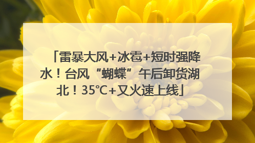 雷暴大风+冰雹+短时强降水！台风“蝴蝶”午后卸货湖北！35℃+又火速上线