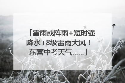 雷雨或阵雨+短时强降水+8级雷雨大风！东营中考天气……