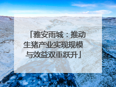 雅安雨城：推动生猪产业实现规模与效益双重跃升