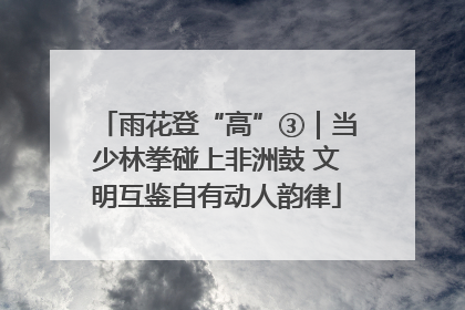 雨花登“高”③｜当少林拳碰上非洲鼓 文明互鉴自有动人韵律