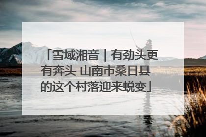 雪域湘音｜有劲头更有奔头 山南市桑日县的这个村落迎来蜕变