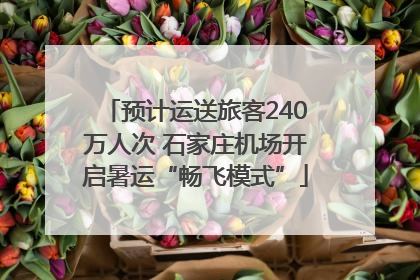 预计运送旅客240万人次 石家庄机场开启暑运“畅飞模式”
