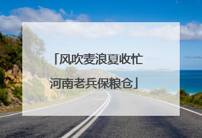 风吹麦浪夏收忙 河南老兵保粮仓