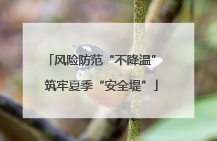 风险防范“不降温” 筑牢夏季“安全堤”