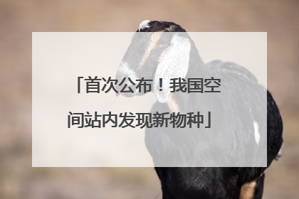 首次公布！我国空间站内发现新物种