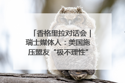 香格里拉对话会｜瑞士媒体人：美国施压盟友“极不理性” 欧洲国家无意与中国“脱钩断链”