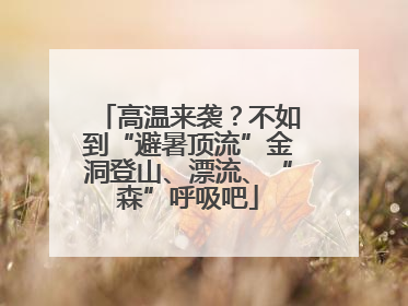 高温来袭？不如到“避暑顶流”金洞登山、漂流、“森”呼吸吧