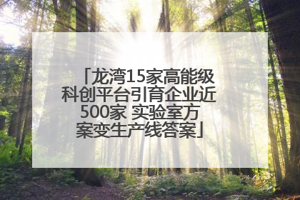 龙湾15家高能级科创平台引育企业近500家 实验室方案变生产线答案