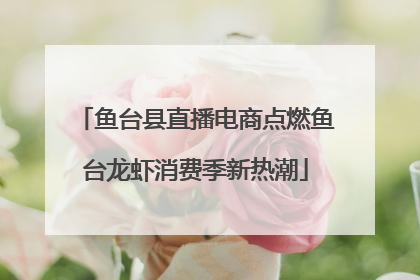 鱼台县直播电商点燃鱼台龙虾消费季新热潮