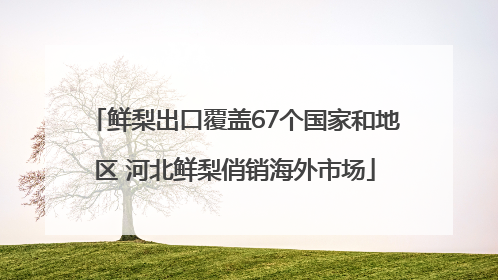 鲜梨出口覆盖67个国家和地区 河北鲜梨俏销海外市场