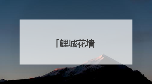 鲤城花墙 梦幻绽放