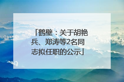 鹤壁：关于胡艳兵、郑涛等2名同志拟任职的公示